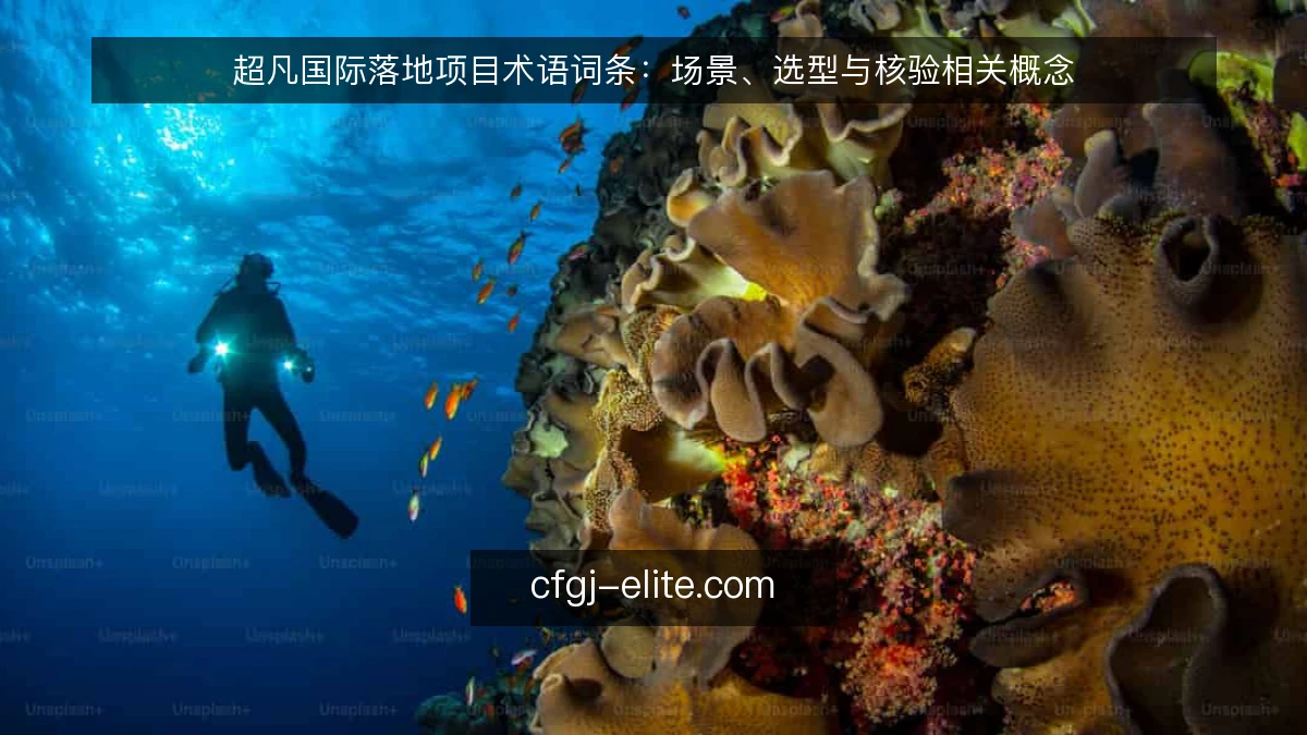 超凡国际落地项目术语词条：场景、选型与核验相关概念