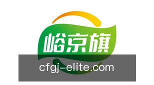 超凡国际